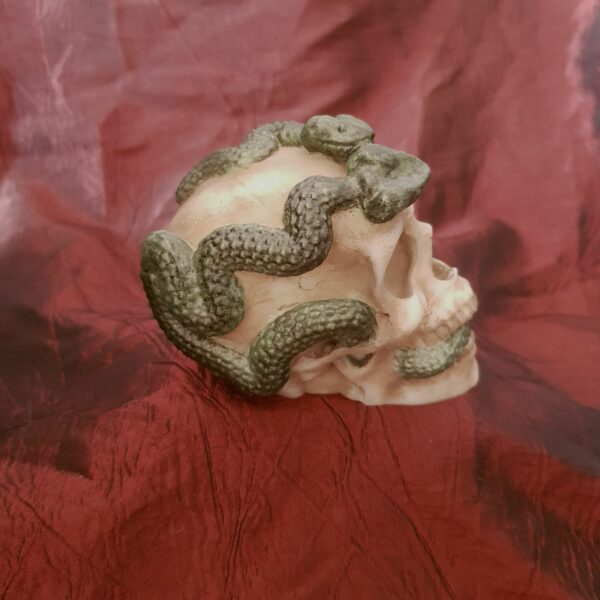 Crâne décoratif entouré de serpents 1