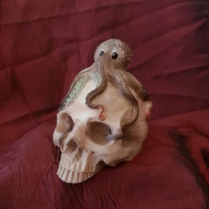 Crâne décoratif avec poulpe : voici Poulpie, une décoration atypique toute mignonne, mais avec un crâne! Craquez pour son regard de poulpe hyper expressif (oui oui), qui fera fondre jusqu'au dernier des pirates.